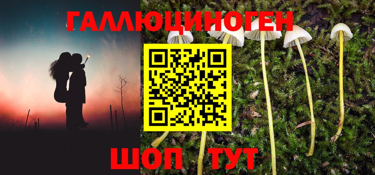 Псилоцибиновые грибы MAGIC MUSHROOMS  как найти   Галлюциногенные грибы Magic Shrooms  Чистополь  Вход с VPN 