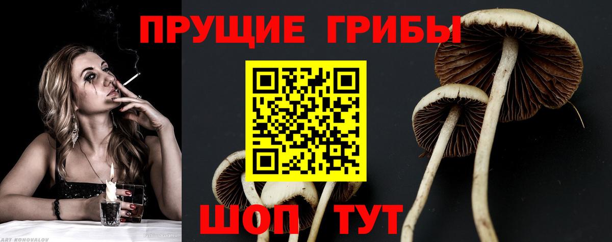 Псилоцибиновые грибы MAGIC MUSHROOMS Чистополь